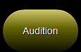 33. Audition